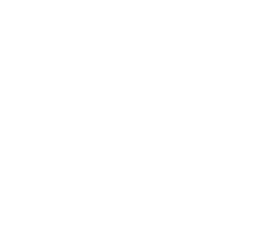 F. Noize