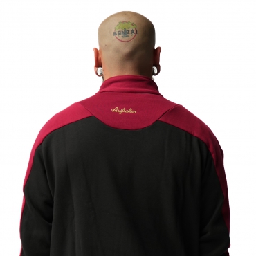 Australian Archive Half-Zip Sweater (Sabrinda Panels)