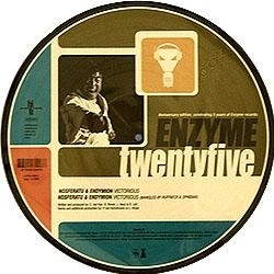 5 Years of Enzyme Records (picture disc)
